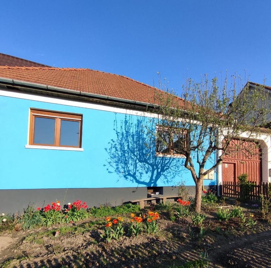 Blue Home Avrig Bagian luar foto