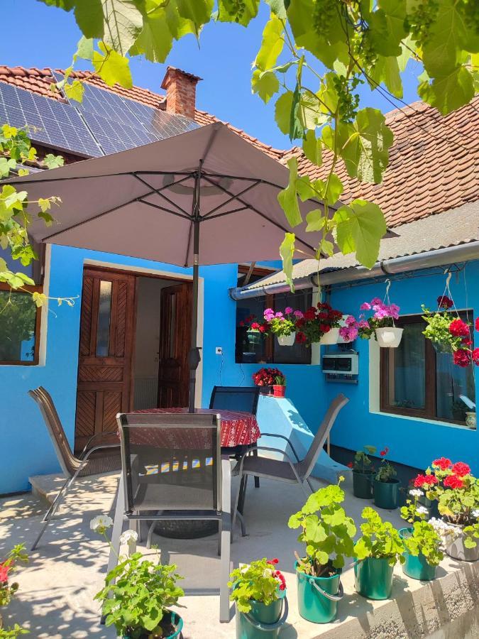 Blue Home Avrig Bagian luar foto